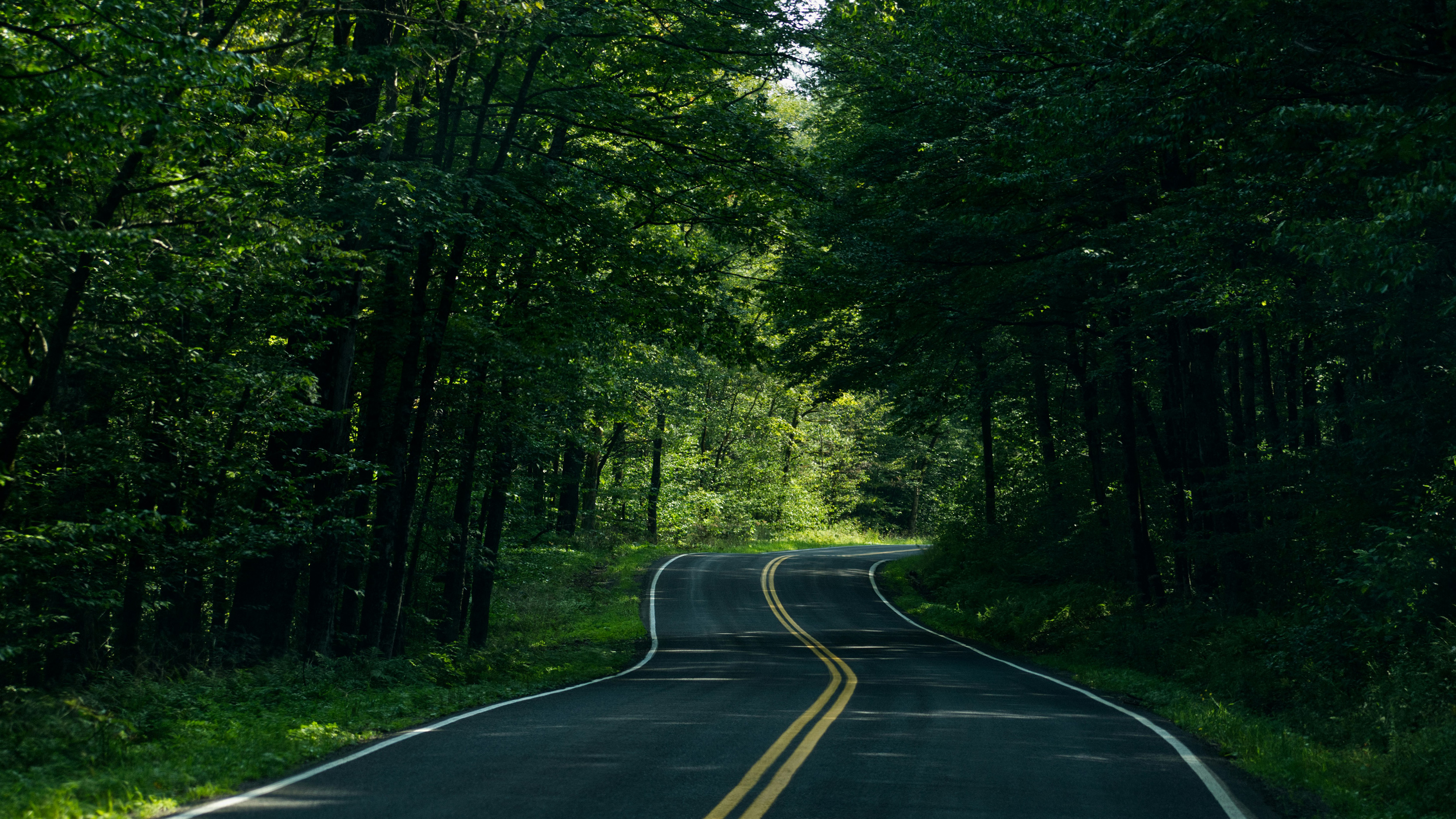 twisty road